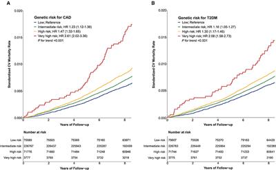 Associations between polygenic risk of coronary artery disease and type 2 diabetes, lifestyle, and cardiovascular mortality: A prospective UK Biobank study